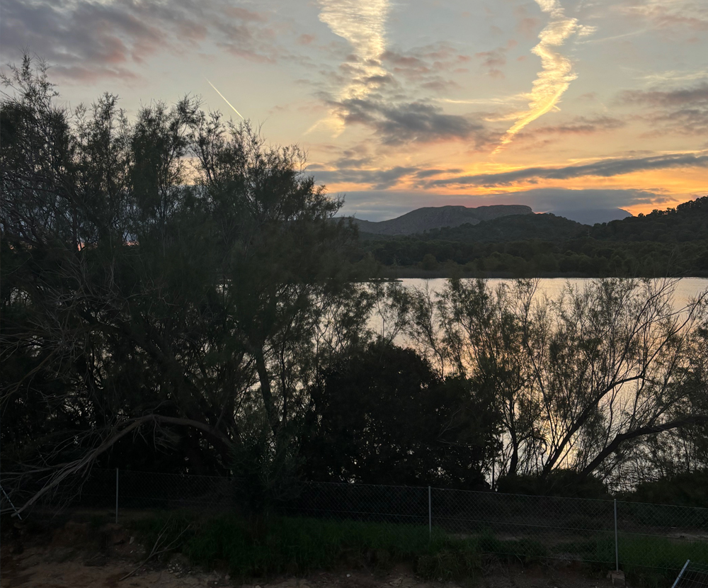 Vivienda Xiprers en Port d'Alcúdia